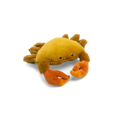 Autour du monde small crab
