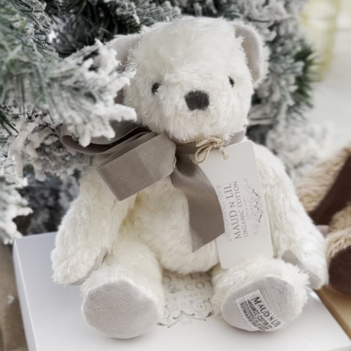 Boxed Fluffy Teddy Bear