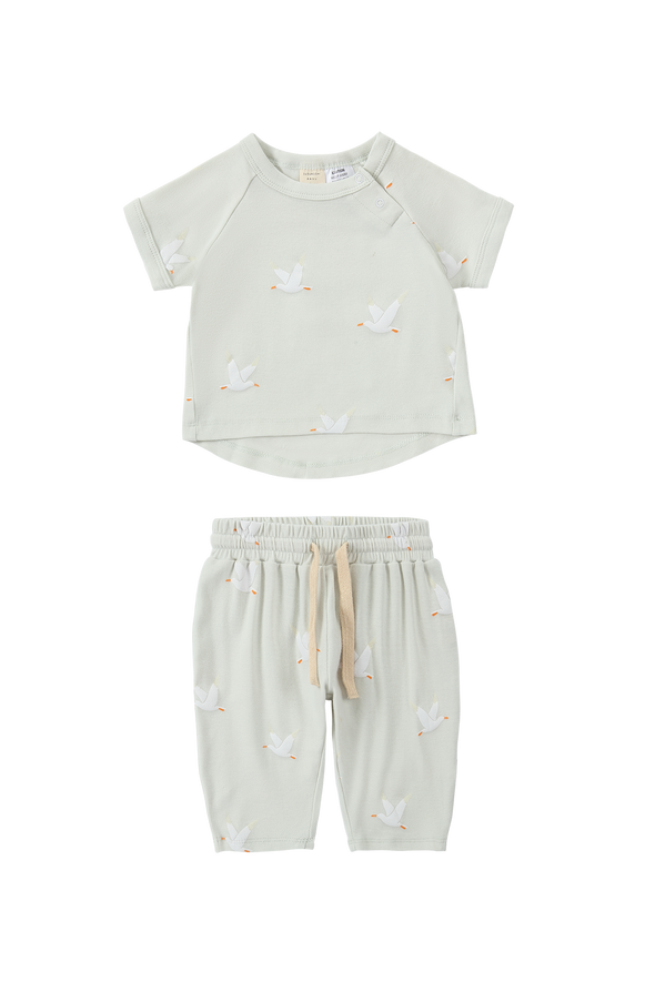 Set- Boxy Tee & Summer Pant