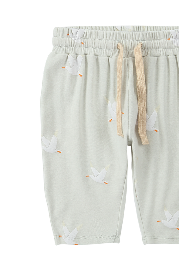 Set- Boxy Tee & Summer Pant