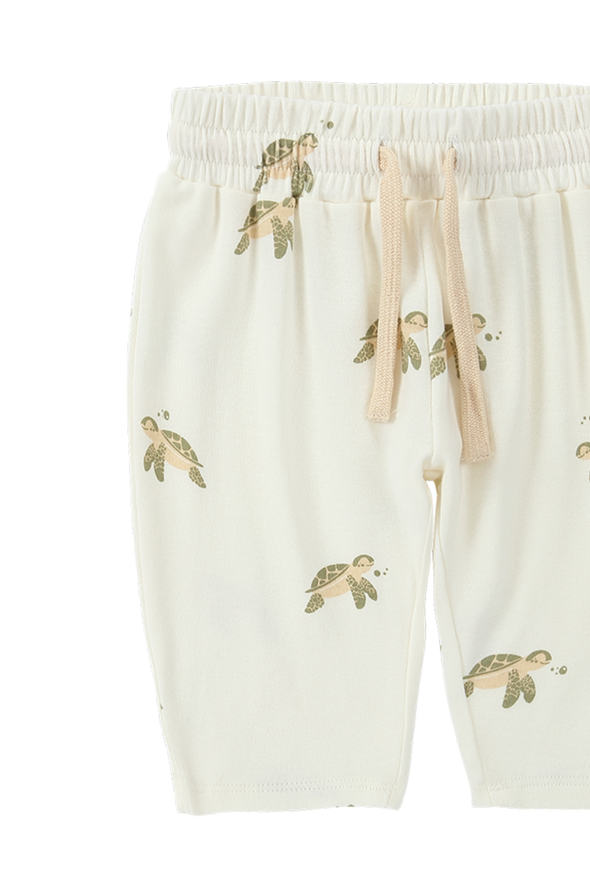 Set- Boxy Tee & Summer Pant