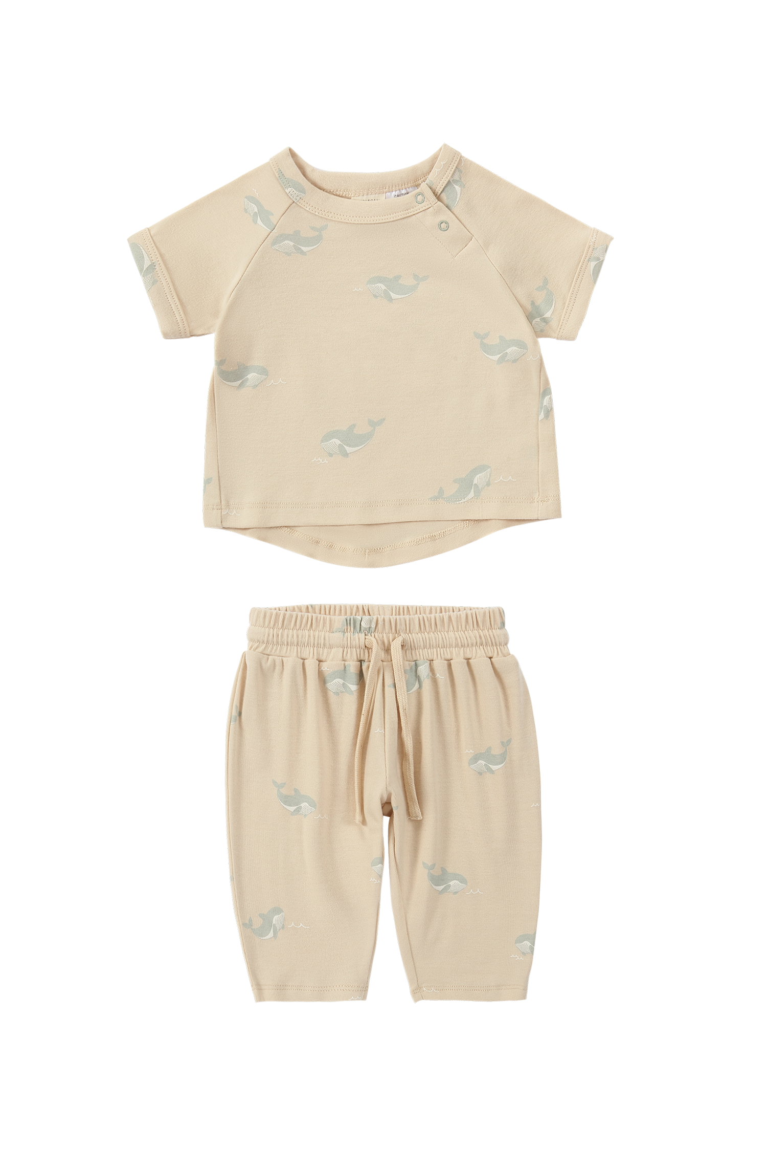 Set- Boxy Tee & Summer Pant