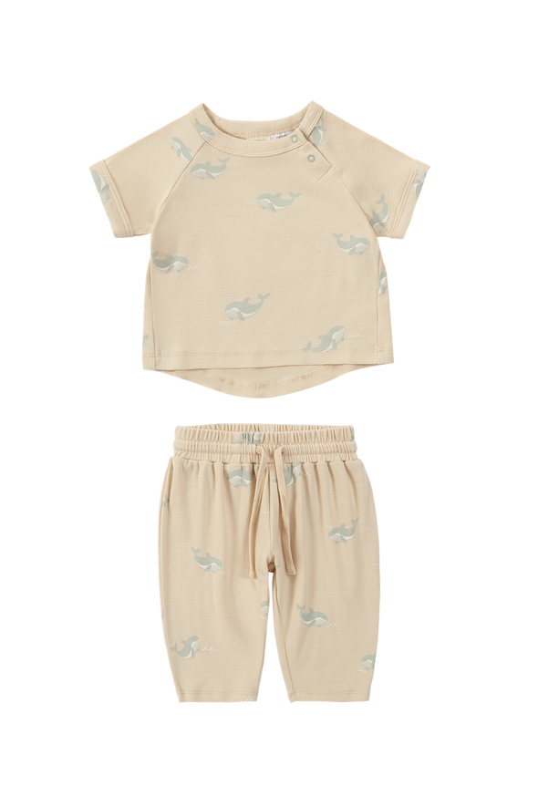 Set- Boxy Tee & Summer Pant