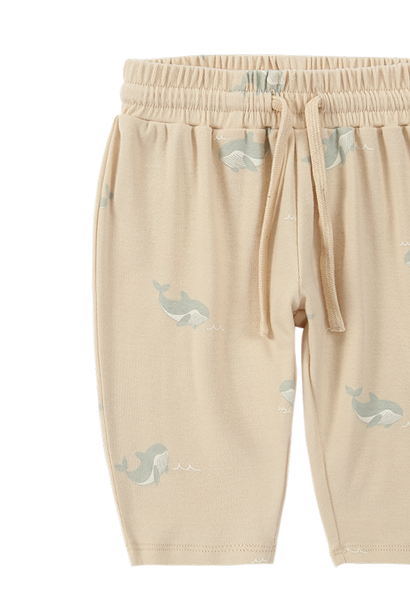 Set- Boxy Tee & Summer Pant