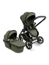 Peach 7 Pushchair - Ivy