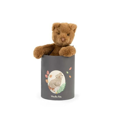 Arthur Bear Doll in Gift Box