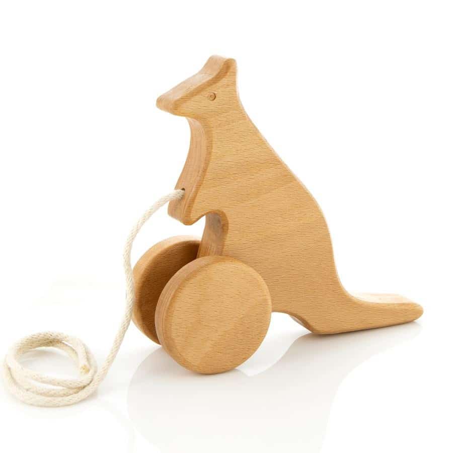 Hopping Kangaroo