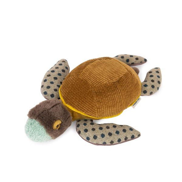 Autour du monde small turtle