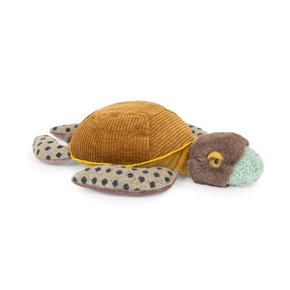 Autour du monde small turtle