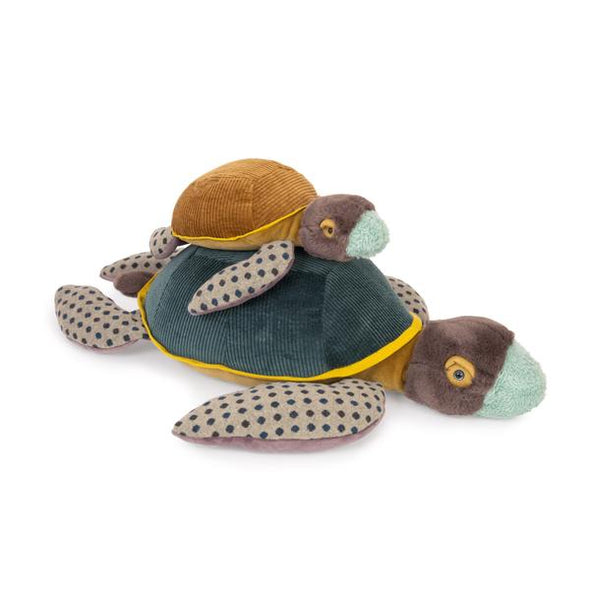 Autour du monde small turtle